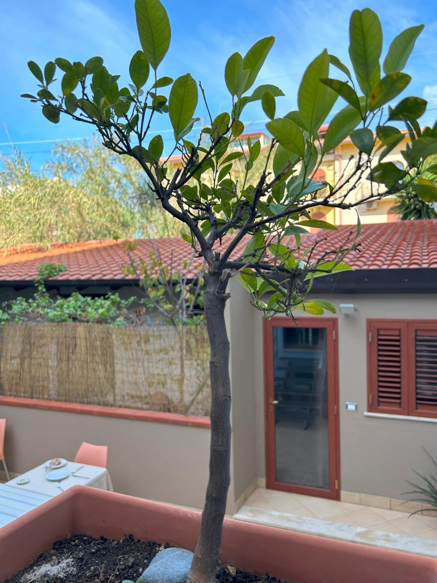 La Piazzetta Bed & Breakfast Giardini Naxos Bagian luar foto